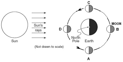 CoursesEarthq3133